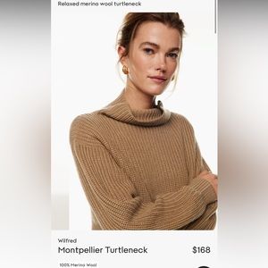 Wilfred Montpellier Turtleneck in a size S